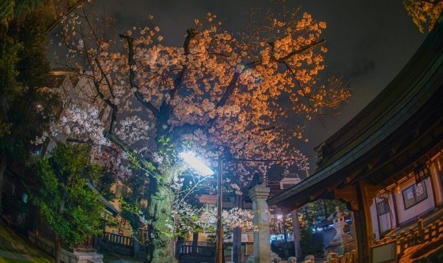 イメージ画像